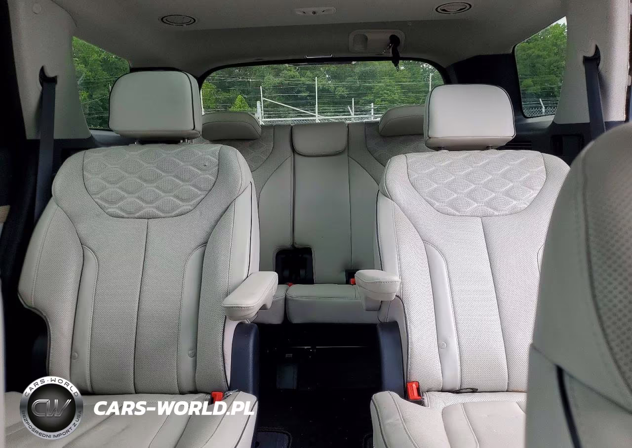 2021 Hyundai Palisade Limited VIN:KM8R54HE2MU319619 - 10