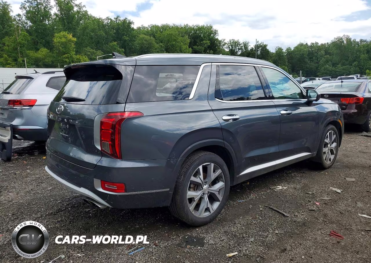 2021 Hyundai Palisade Limited VIN:KM8R54HE2MU319619 - 3