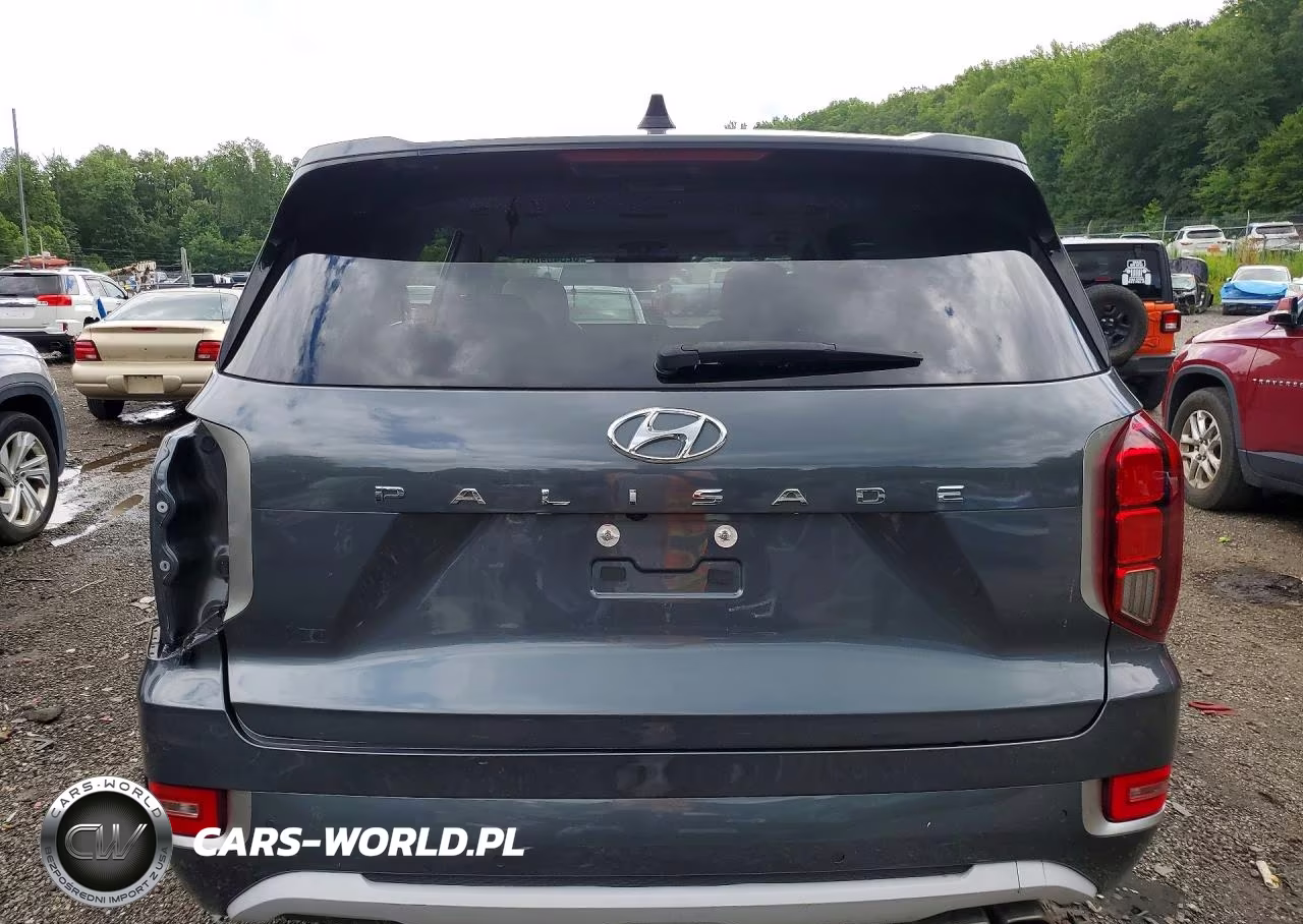 2021 Hyundai Palisade Limited VIN:KM8R54HE2MU319619 - 6