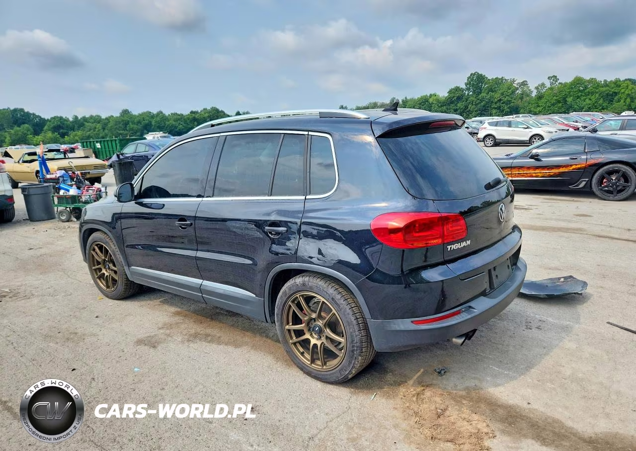 2015 Volkswagen Tiguan S VIN:WVGBV7AX5FW609889 - 2