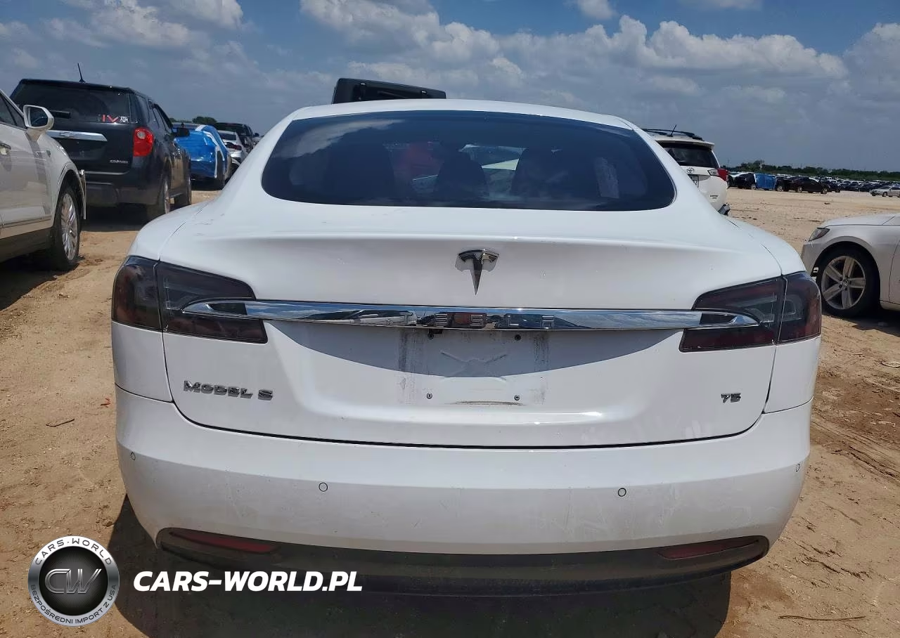 2016 Tesla Model S VIN:5YJSA1E13GF137524 - 6