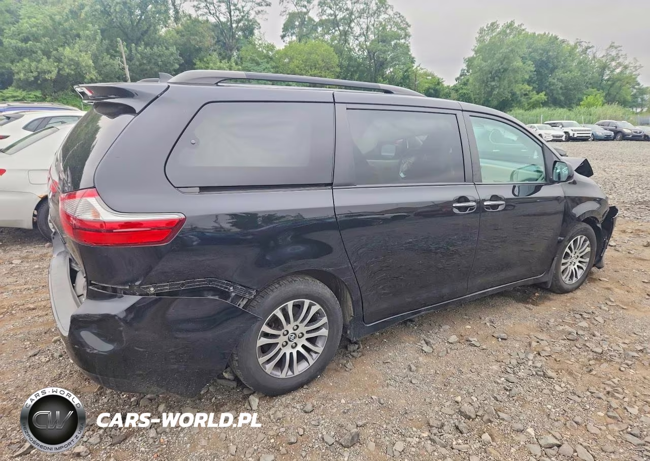 2020 Toyota Sienna Xle 8-Passenger VIN:5TDYZ3DC3LS044123 - 3
