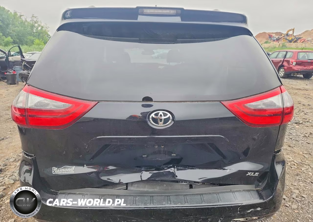 2020 Toyota Sienna Xle 8-Passenger VIN:5TDYZ3DC3LS044123 - 6