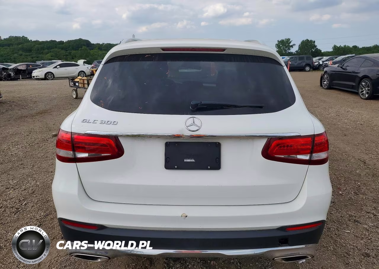 2019 Mercedes-Benz Glc 300 VIN:WDC0G4JBXKV160017 - 6