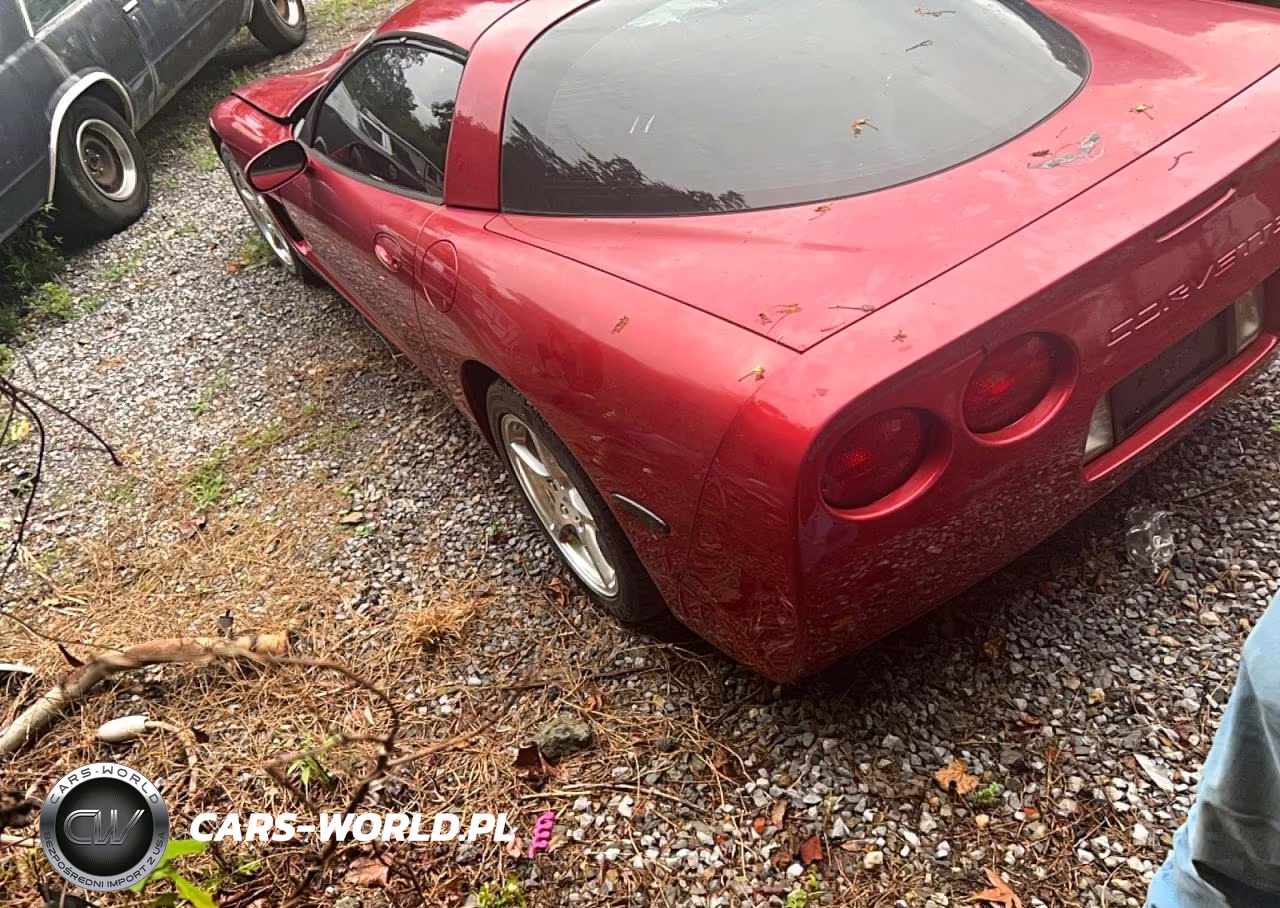 2001 Chevrolet Corvette VIN:1G1YY22G715112230 - 3