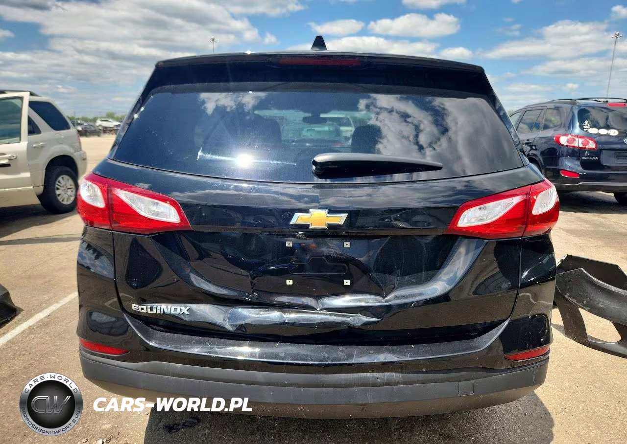 2019 Chevrolet Equinox Ls VIN:2GNAXHEV6K6305734 - 6