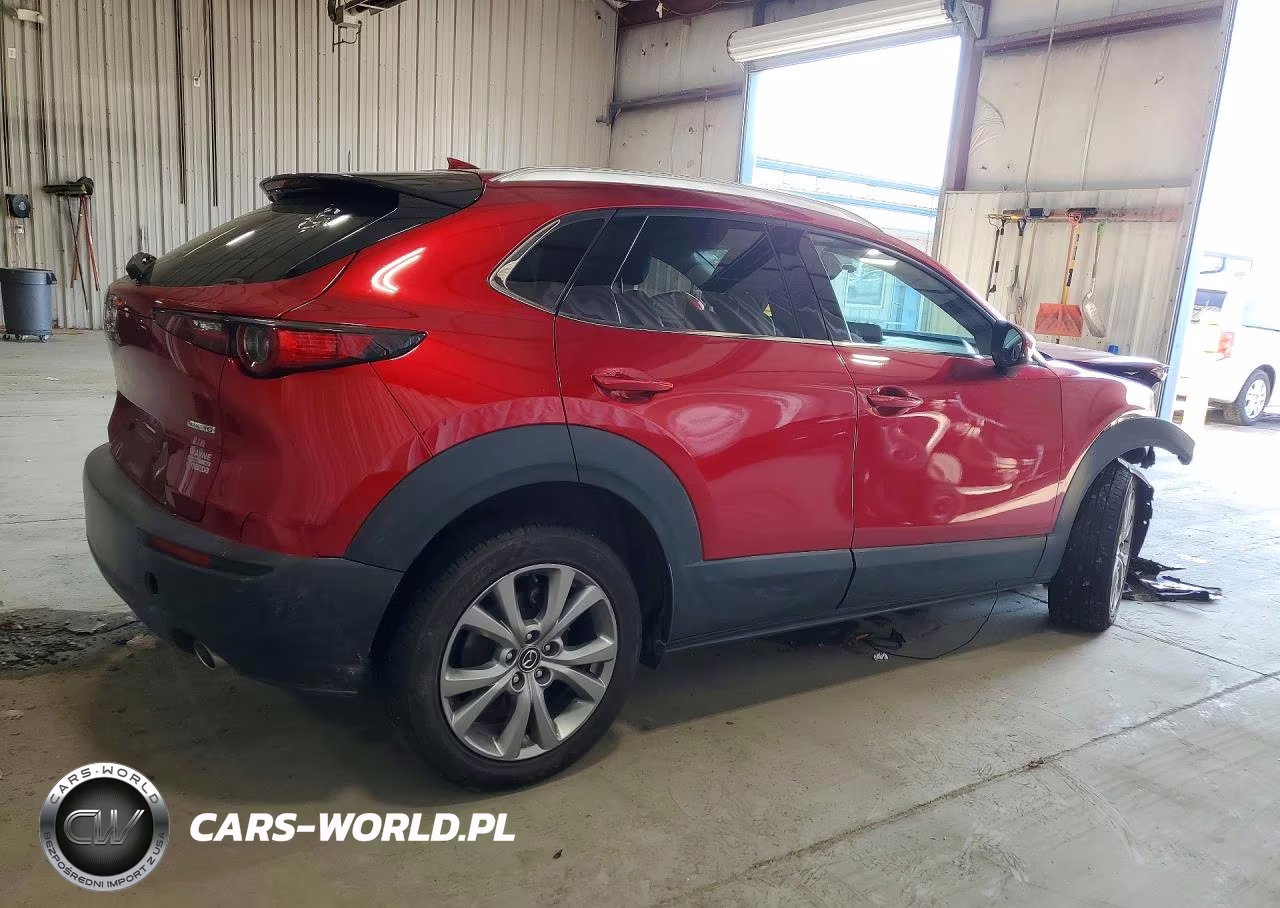 2021 Mazda Cx-30 Premium VIN:3MVDMBDL9MM307285 - 3
