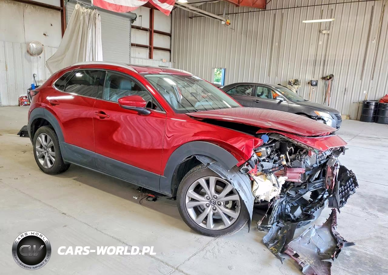 2021 Mazda Cx-30 Premium VIN:3MVDMBDL9MM307285 - 4