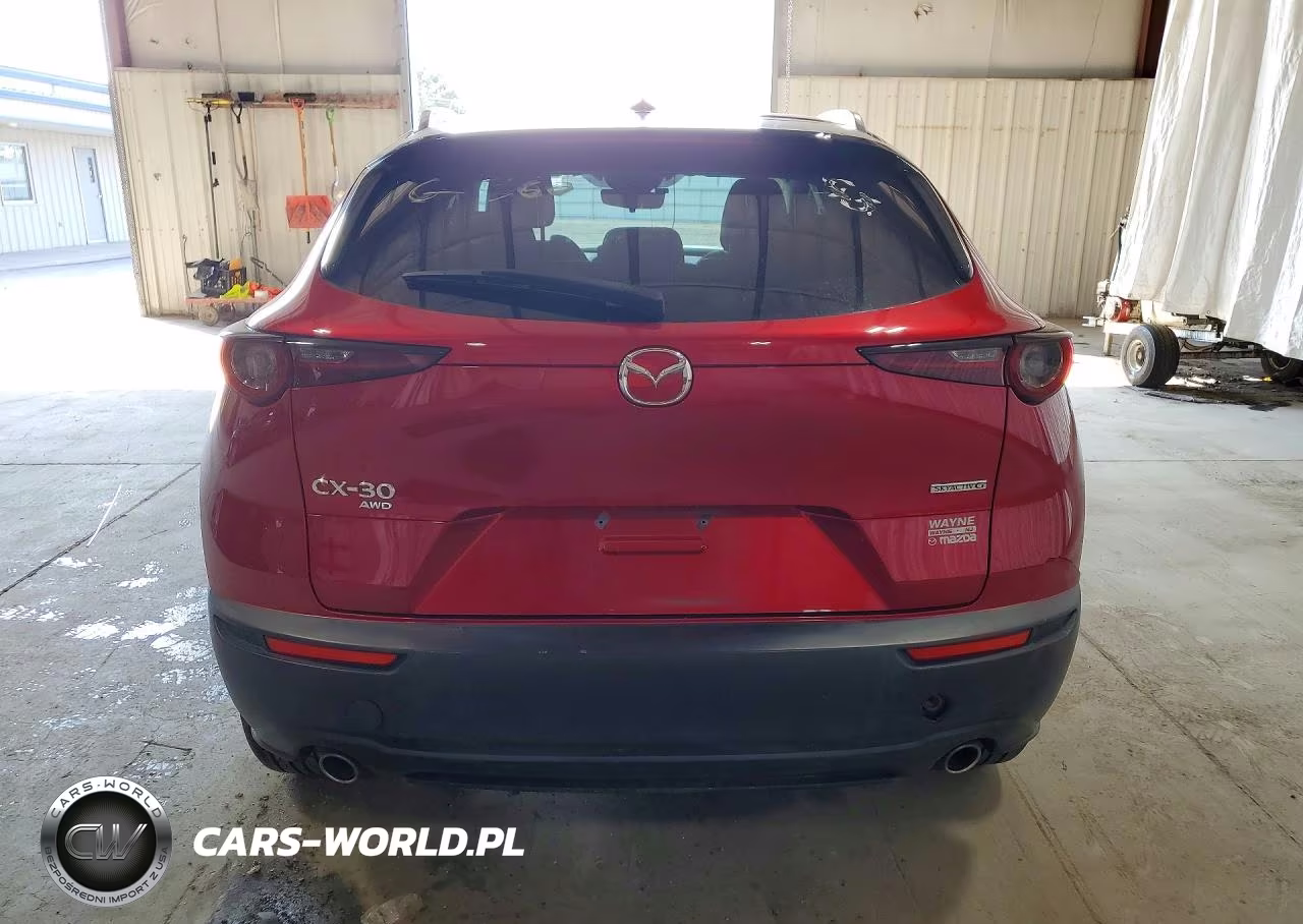 2021 Mazda Cx-30 Premium VIN:3MVDMBDL9MM307285 - 6