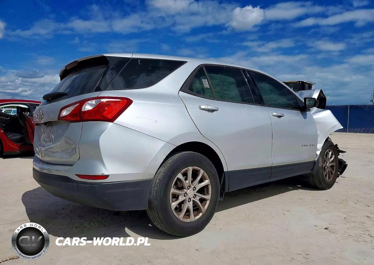 2019 Chevrolet Equinox Ls VIN:3GNAXHEV2KS624291 - 3
