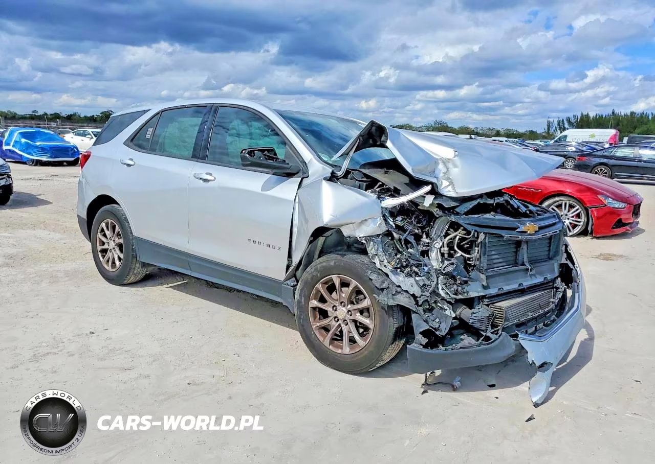 2019 Chevrolet Equinox Ls VIN:3GNAXHEV2KS624291 - 4