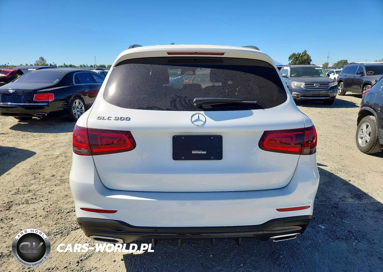 2022 Mercedes-Benz Glc 300 VIN:W1N0G8DBXNG117808 - 6