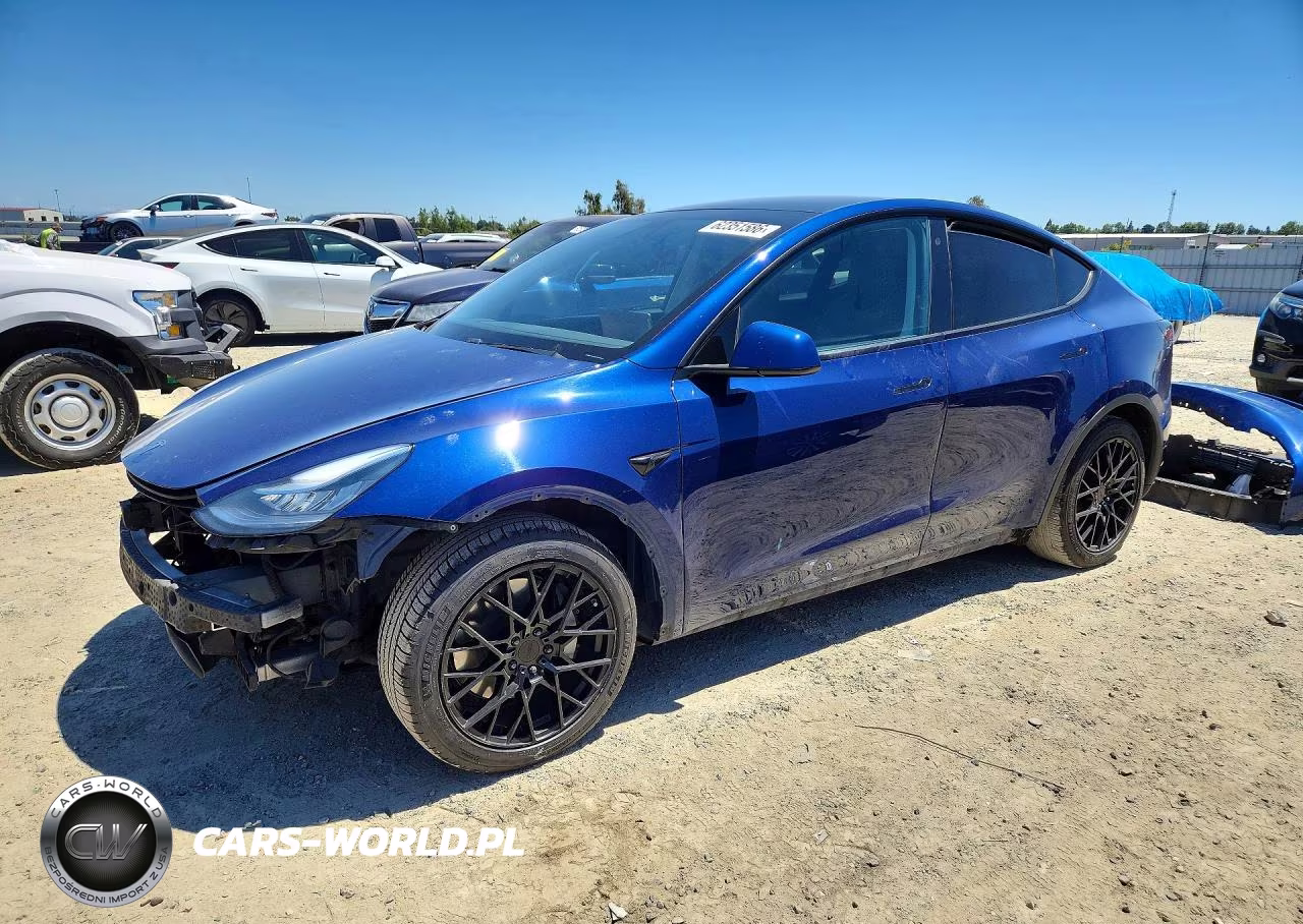 2020 Tesla Model Y