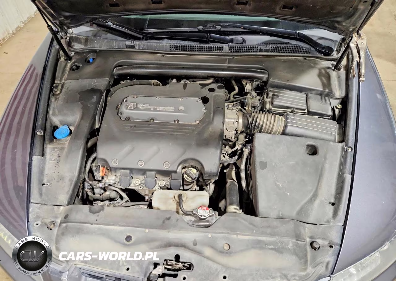2005 Acura Tl VIN:19UUA66275A082466 - 11