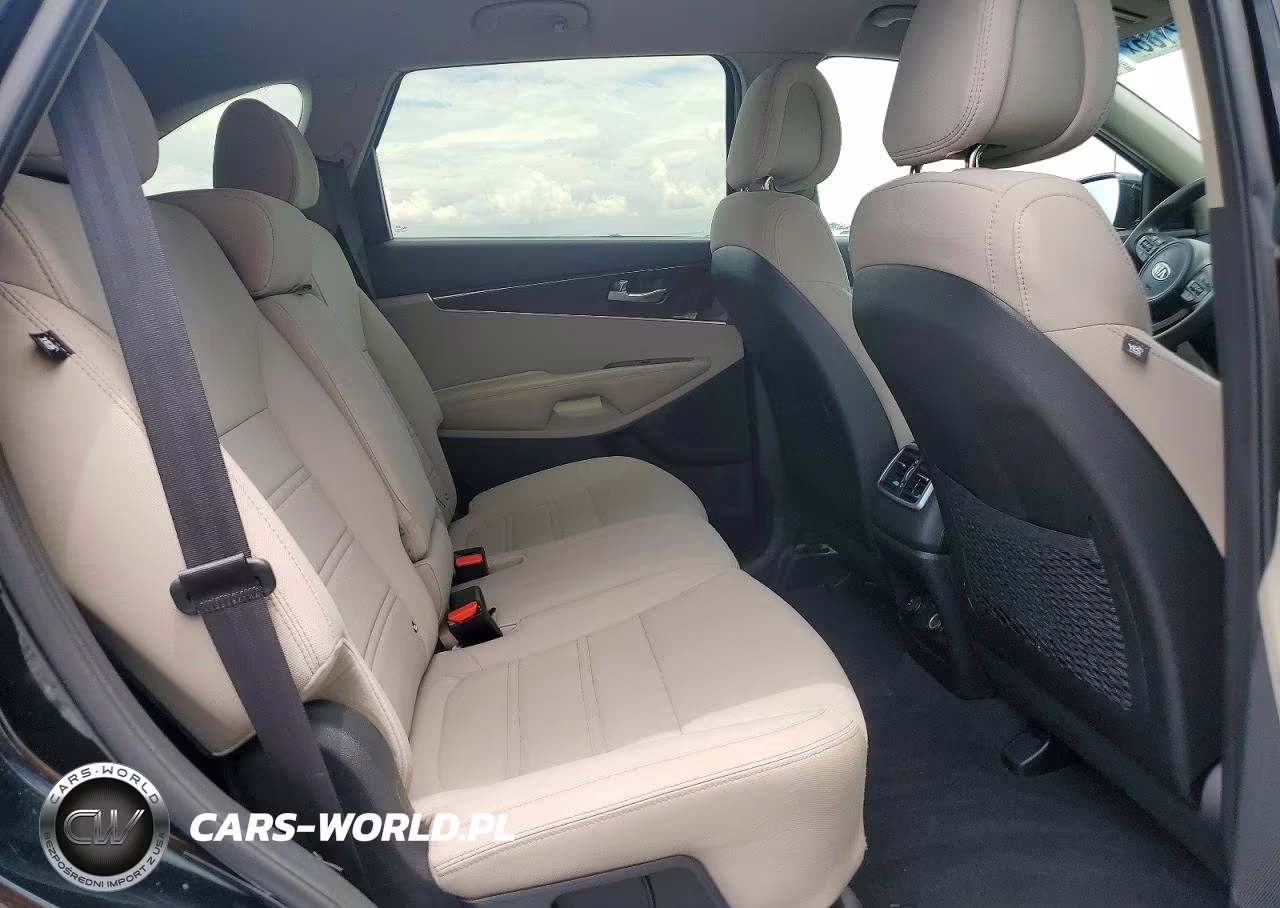 2016 Kia Sorento Lx VIN:5XYPG4A34GG038474 - 10