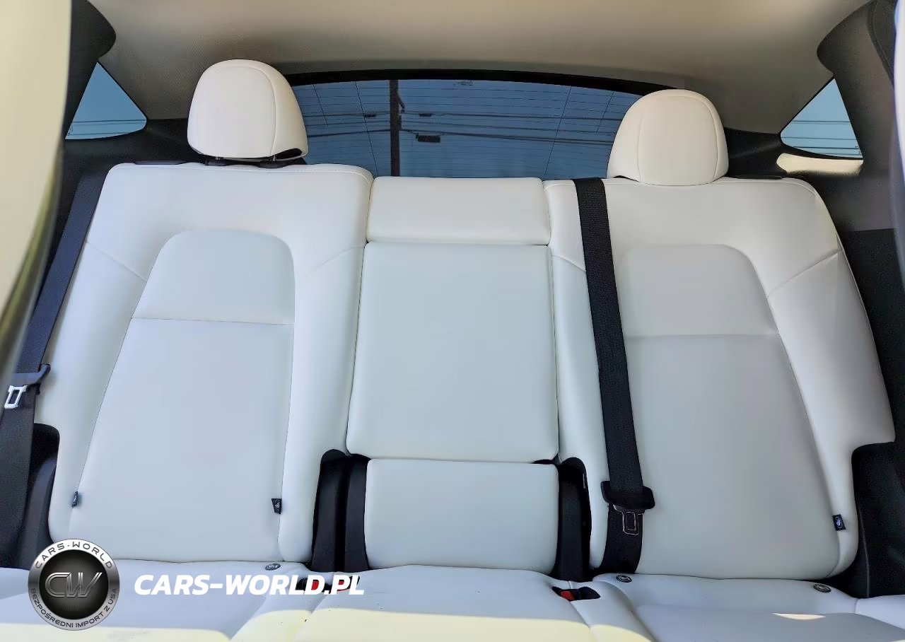 2024 Tesla Model Y VIN:7SAYGDEF0RA324101 - 10