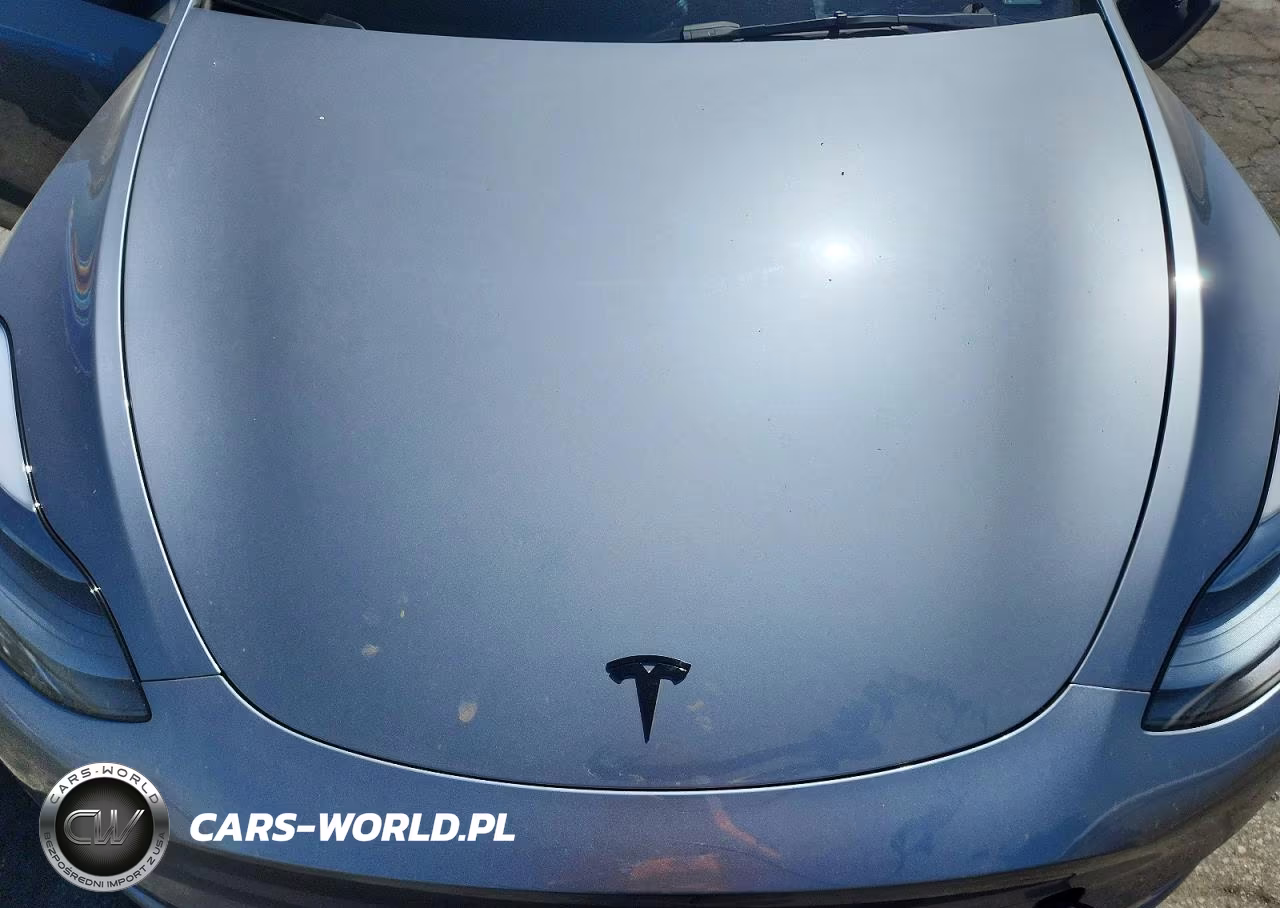 2024 Tesla Model Y VIN:7SAYGDEF0RA324101 - 12