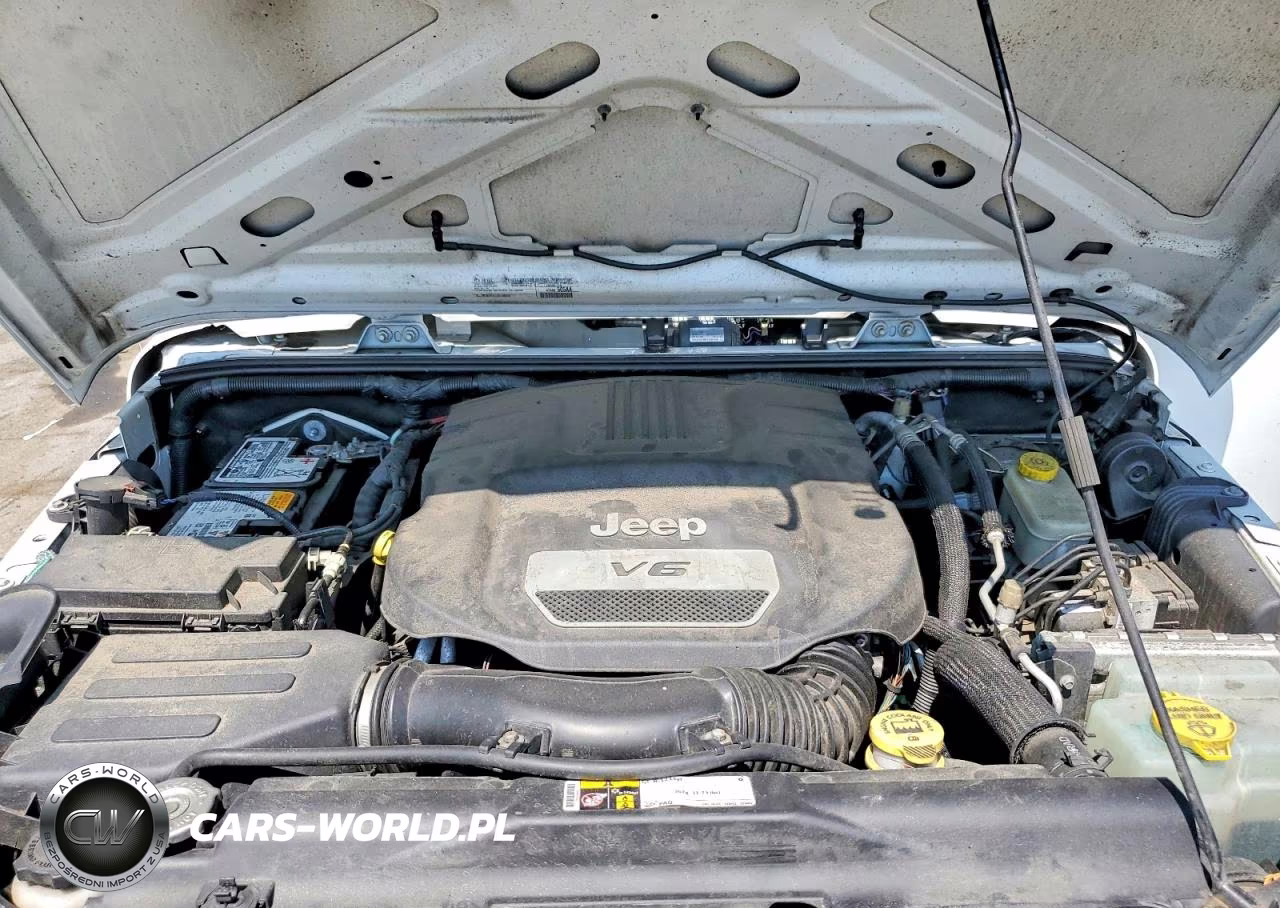 2016 Jeep Wrangler Unlimited Sport VIN:1C4HJWDG5GL303813 - 12