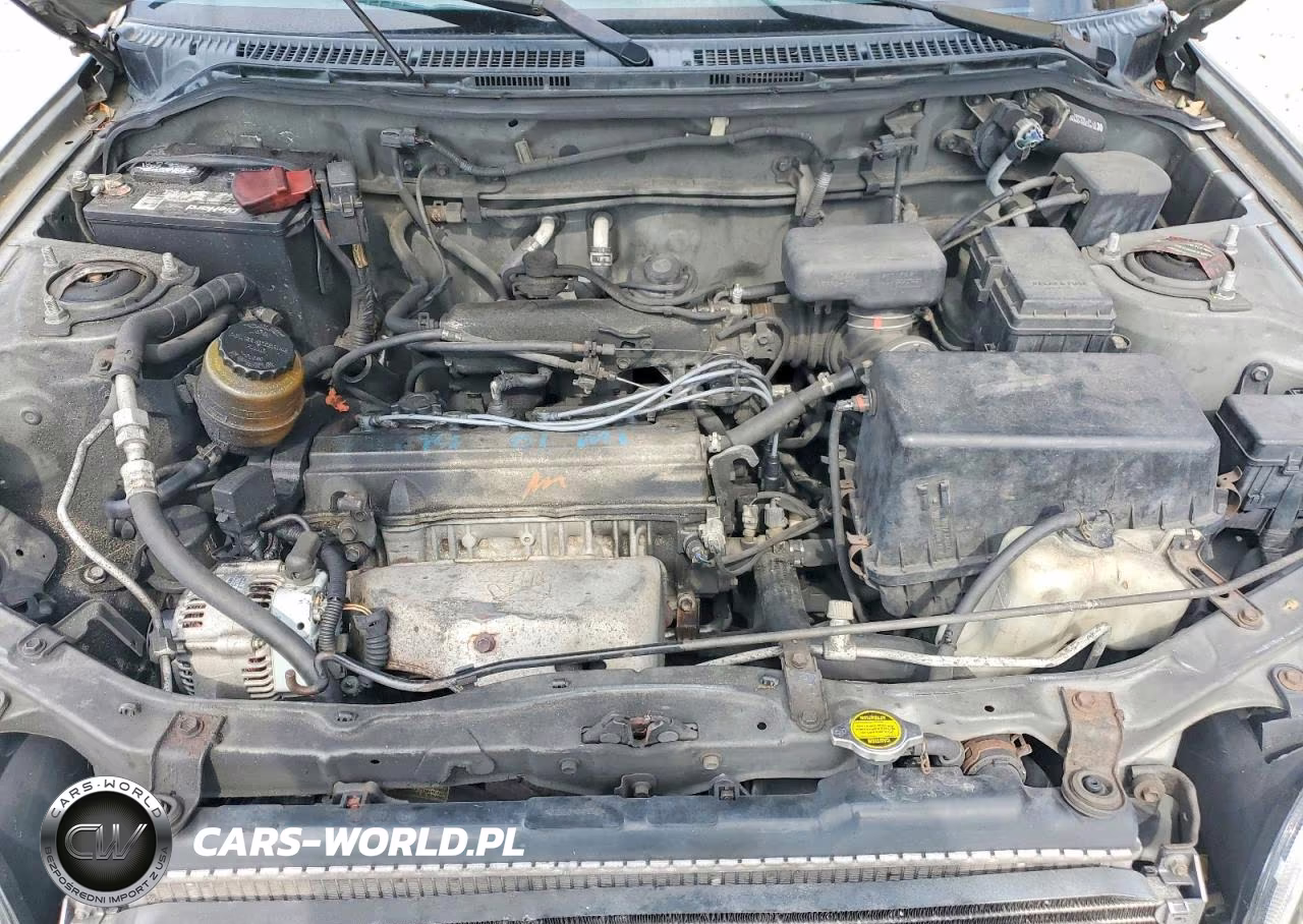 2000 Toyota Rav4 Base VIN:JT3GP10V1Y0051115 - 11