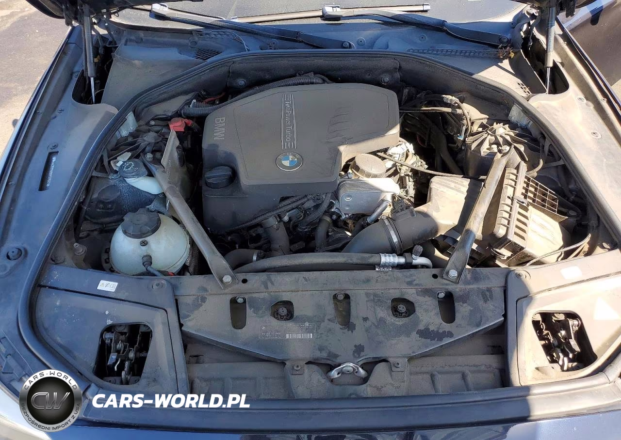 2013 BMW 528 I VIN:WBAXG5C50DDY37647 - 11