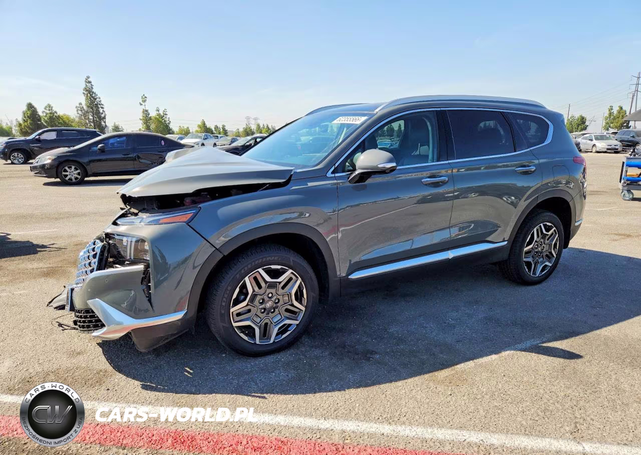 2023 Hyundai Santa Fe Limited VIN:5NMS5DA13PH006698 - 1