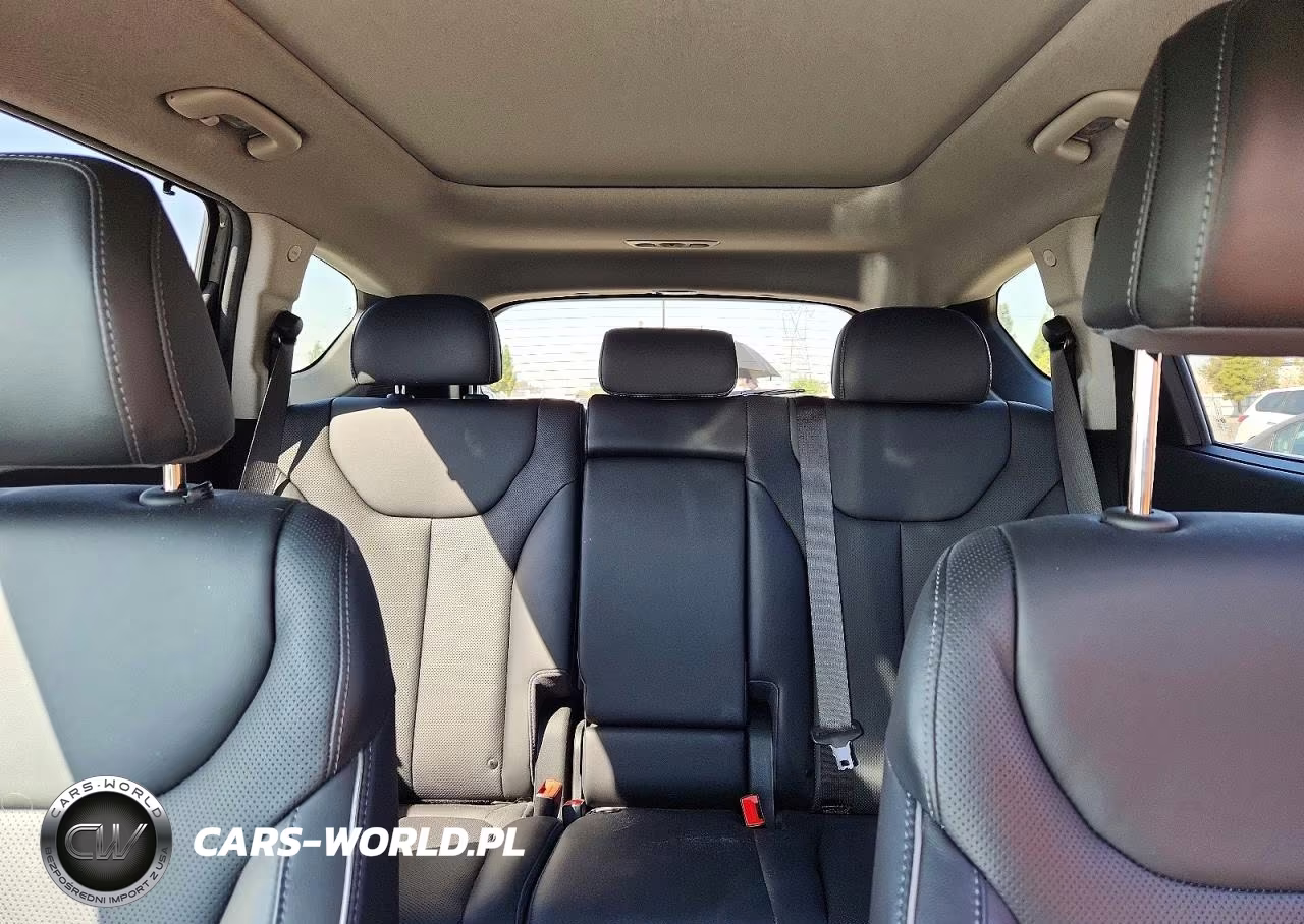 2023 Hyundai Santa Fe Limited VIN:5NMS5DA13PH006698 - 10