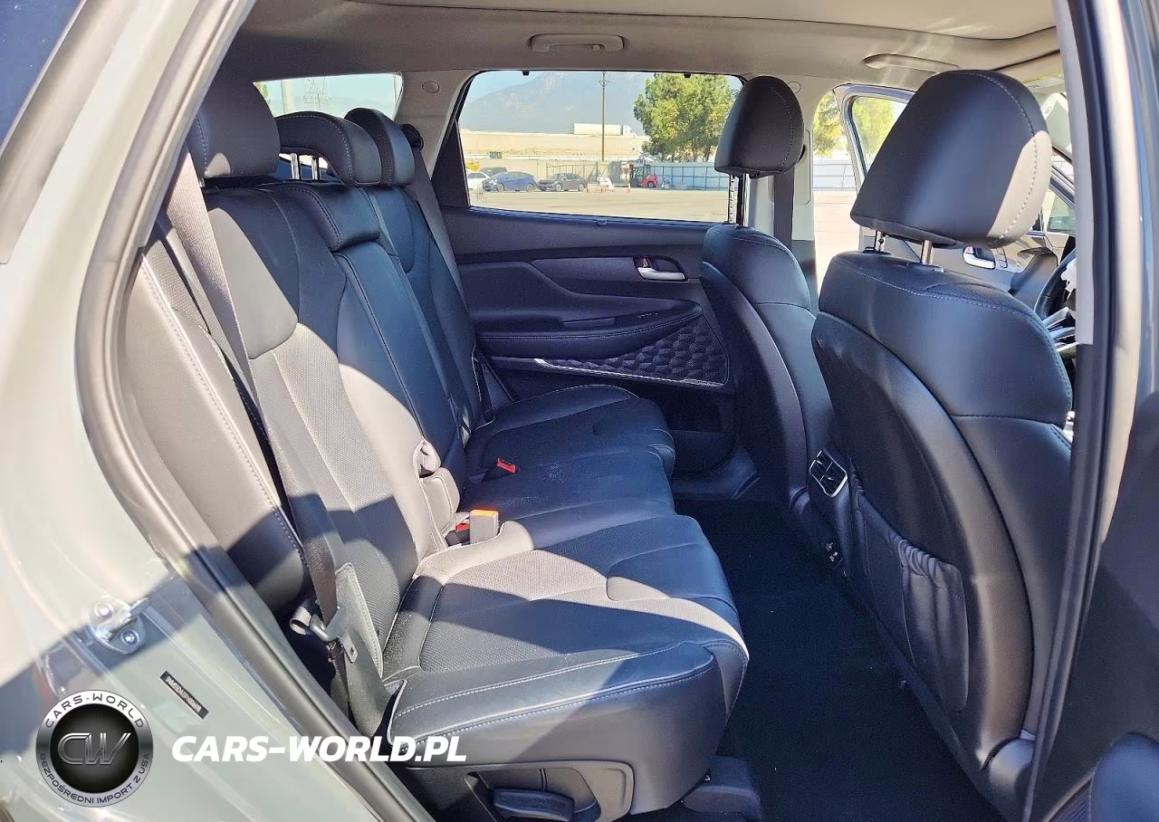 2023 Hyundai Santa Fe Limited VIN:5NMS5DA13PH006698 - 11