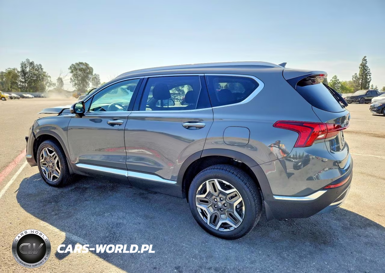 2023 Hyundai Santa Fe Limited VIN:5NMS5DA13PH006698 - 2