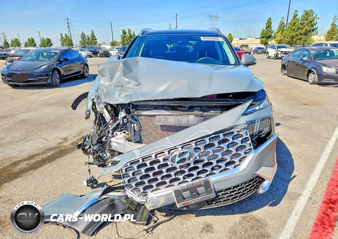 2023 Hyundai Santa Fe Limited VIN:5NMS5DA13PH006698 - 5
