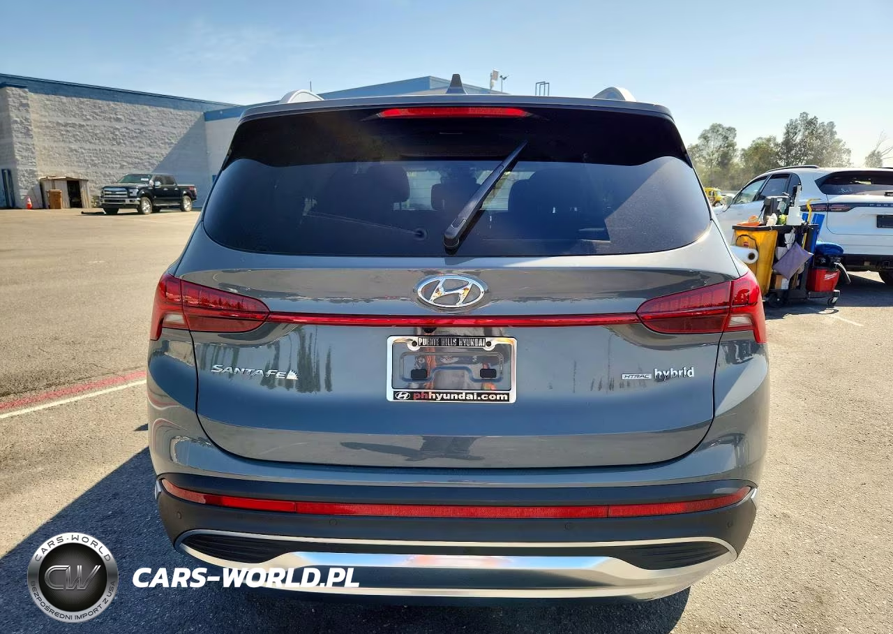 2023 Hyundai Santa Fe Limited VIN:5NMS5DA13PH006698 - 6