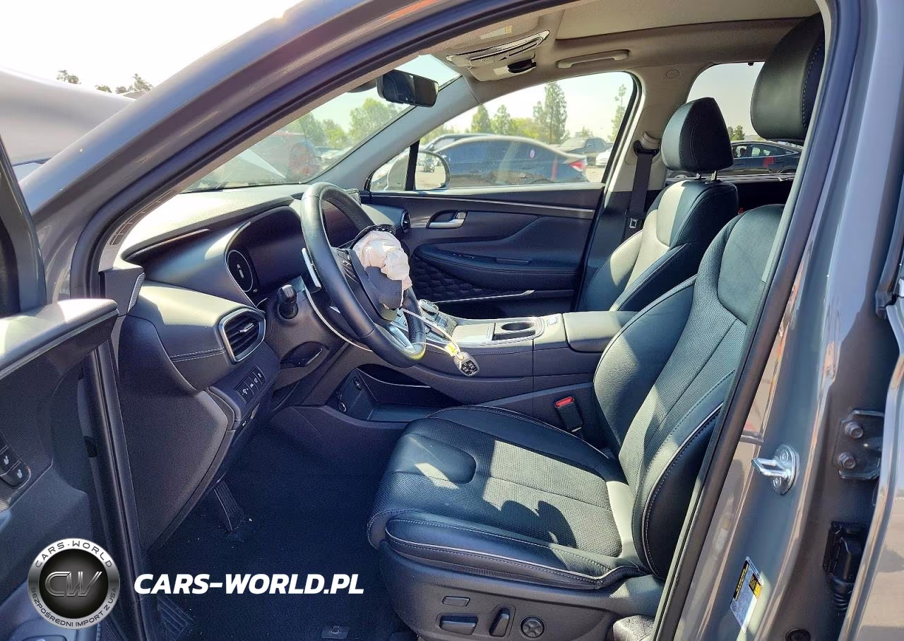 2023 Hyundai Santa Fe Limited VIN:5NMS5DA13PH006698 - 7