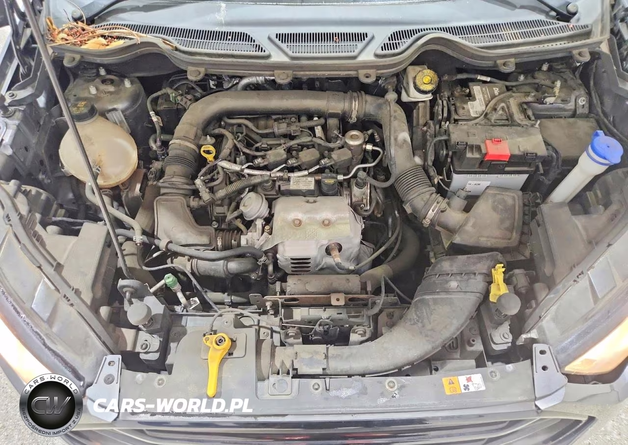 2018 Ford Eco Sport VIN:MAJ3P1REXJC180512 - 12
