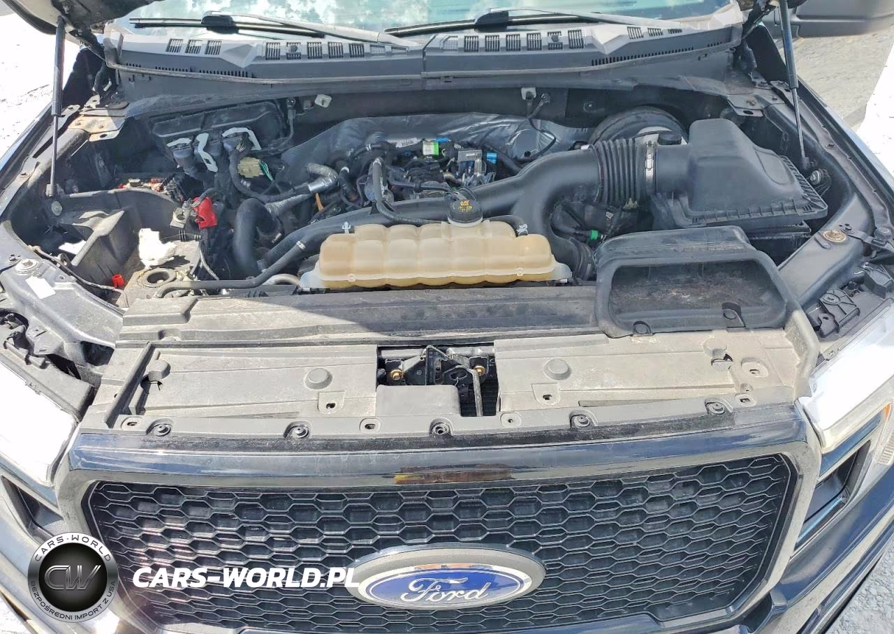 2020 Ford F150 Supercrew VIN:1FTEW1EP6LFB85527 - 11