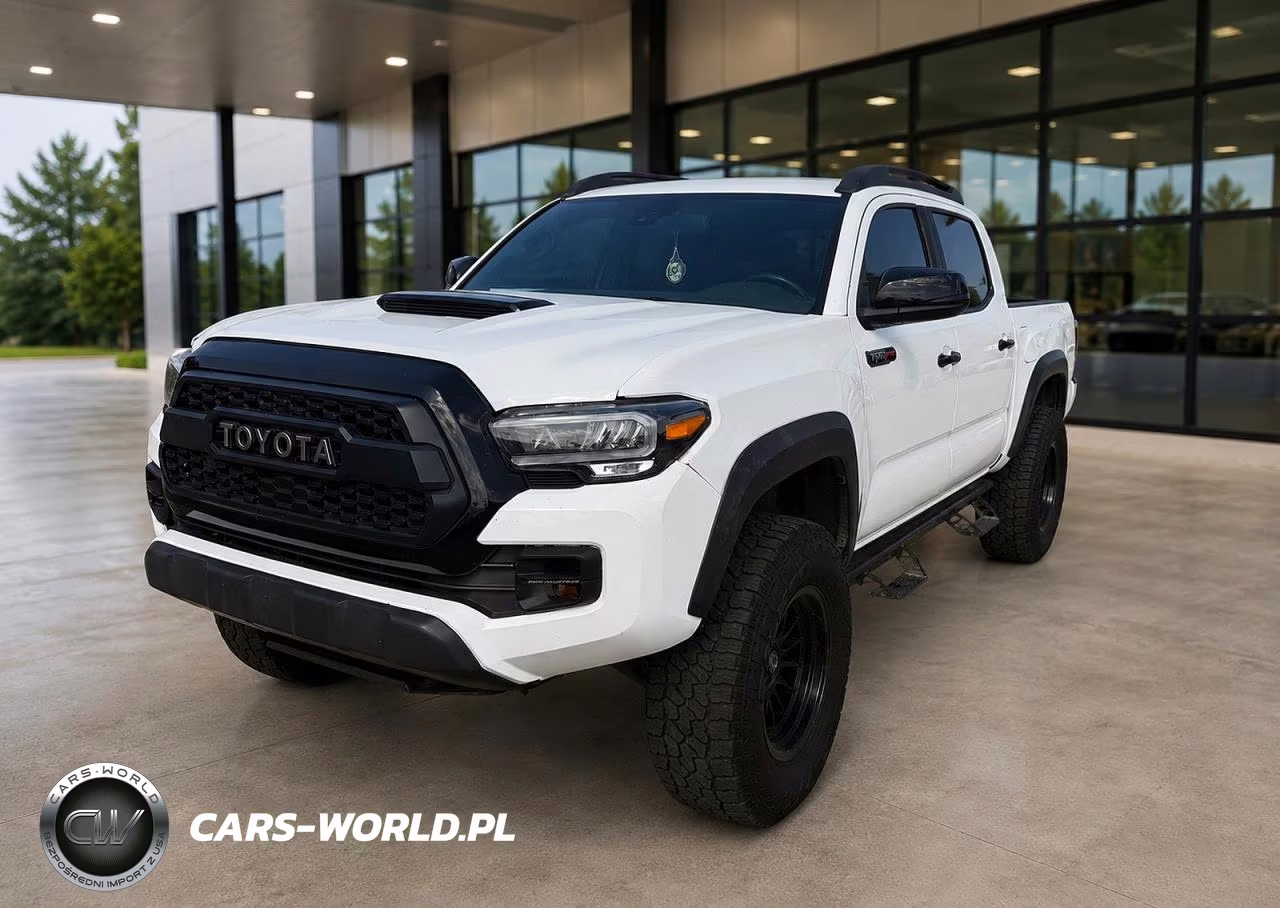 2019 Toyota Tacoma Trd Pro VIN:5TFCZ5AN3KX203727 - 2