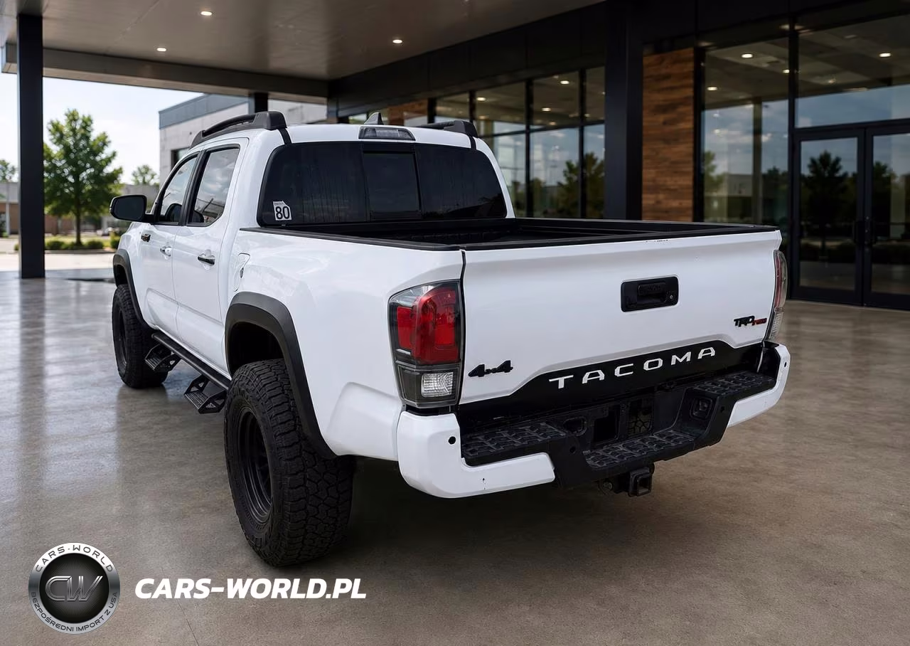 2019 Toyota Tacoma Trd Pro VIN:5TFCZ5AN3KX203727 - 3