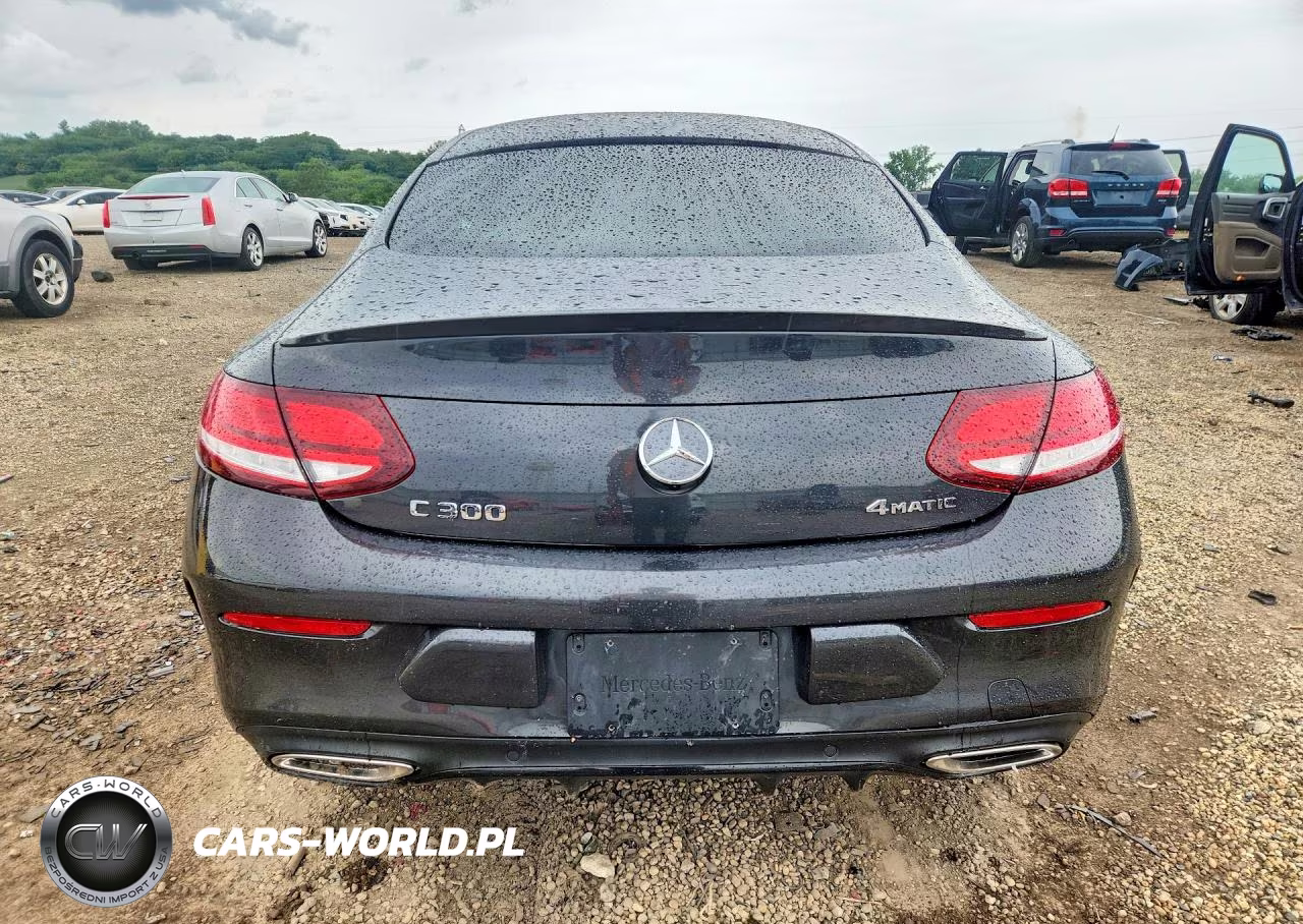 2020 Mercedes-Benz C 300 4Matic VIN:WDDWJ8EB5LF935568 - 6
