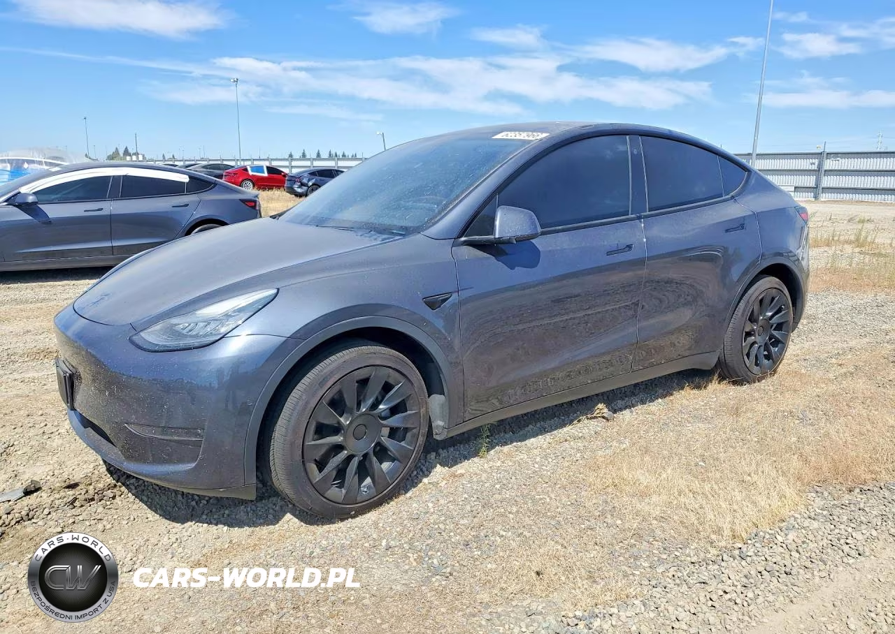 2020 Tesla Model Y