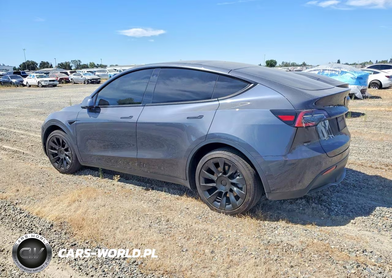 2020 Tesla Model Y VIN:5YJYGDEF7LF002420 - 2
