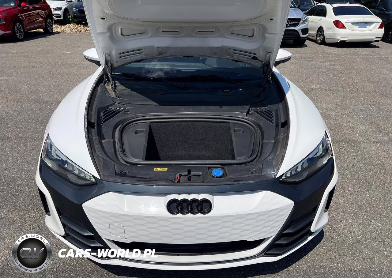 2022 Audi E-Tron Gt Premium Plus VIN:WAUFJBFW2N7006120 - 8