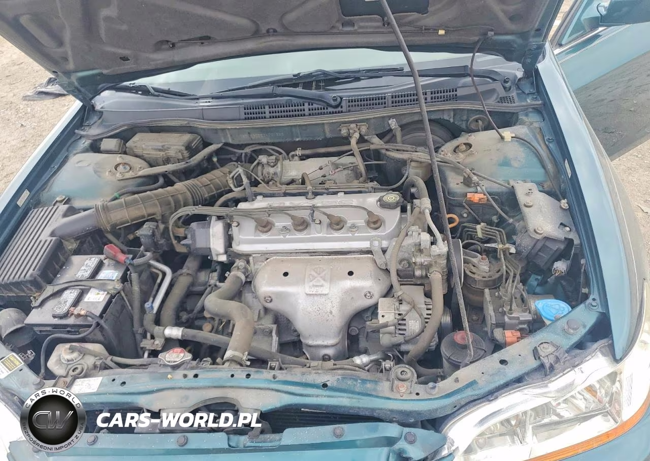 2002 Honda Accord Ex VIN:1HGCG32522A021336 - 11