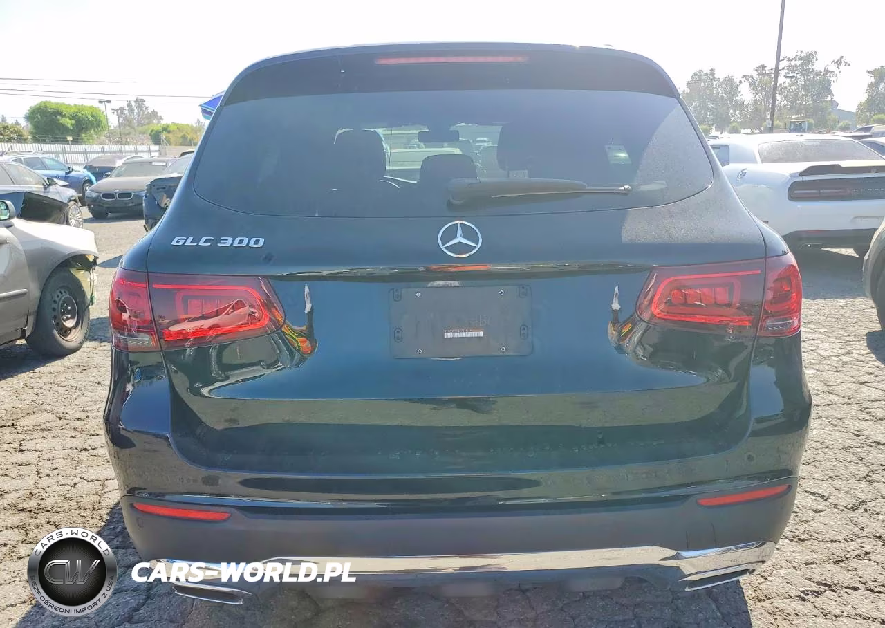 2021 Mercedes-Benz Glc 300 VIN:W1N0G8DB5MV314864 - 6