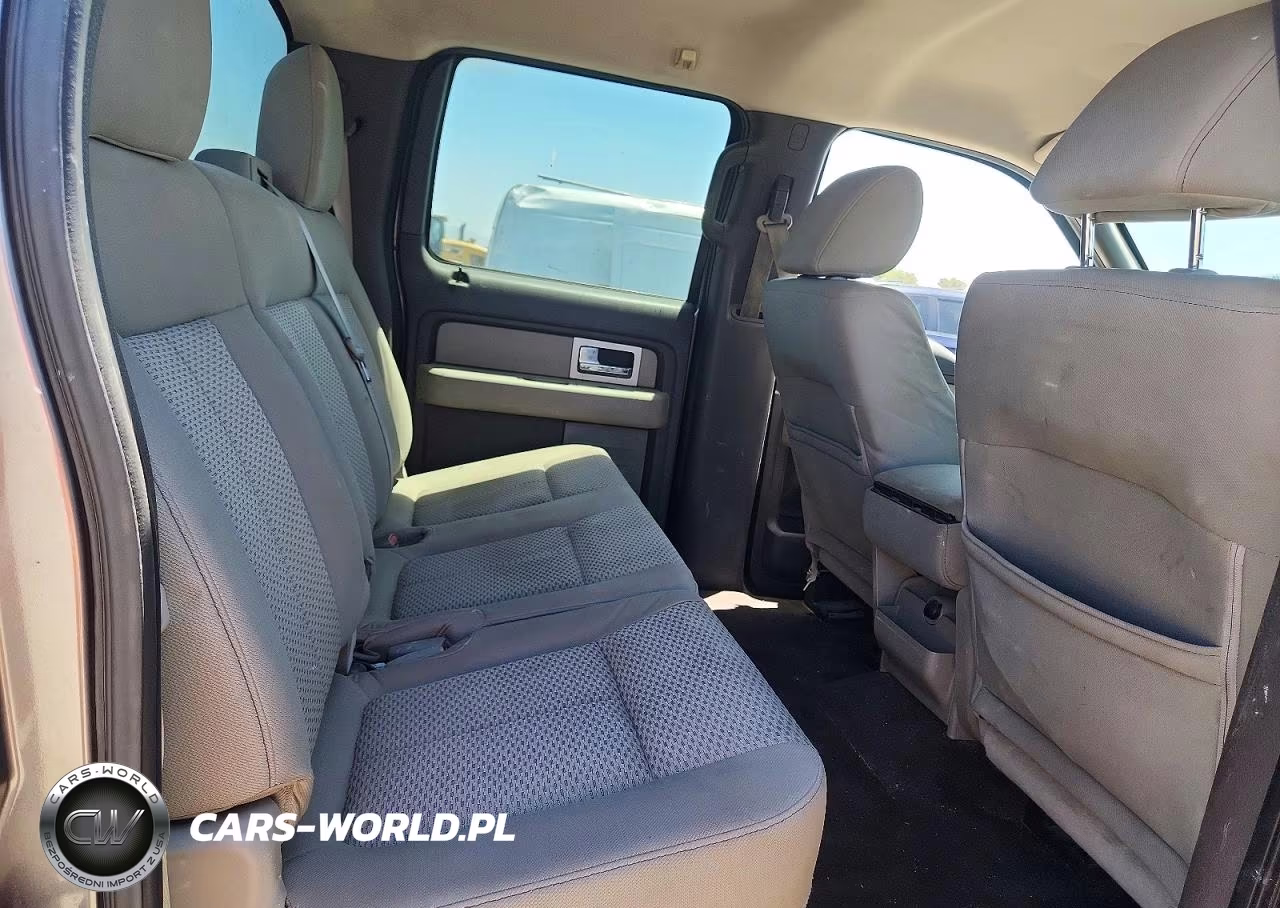 2010 Ford F150 Supercrew VIN:1FTEW1C80AFB13781 - 10