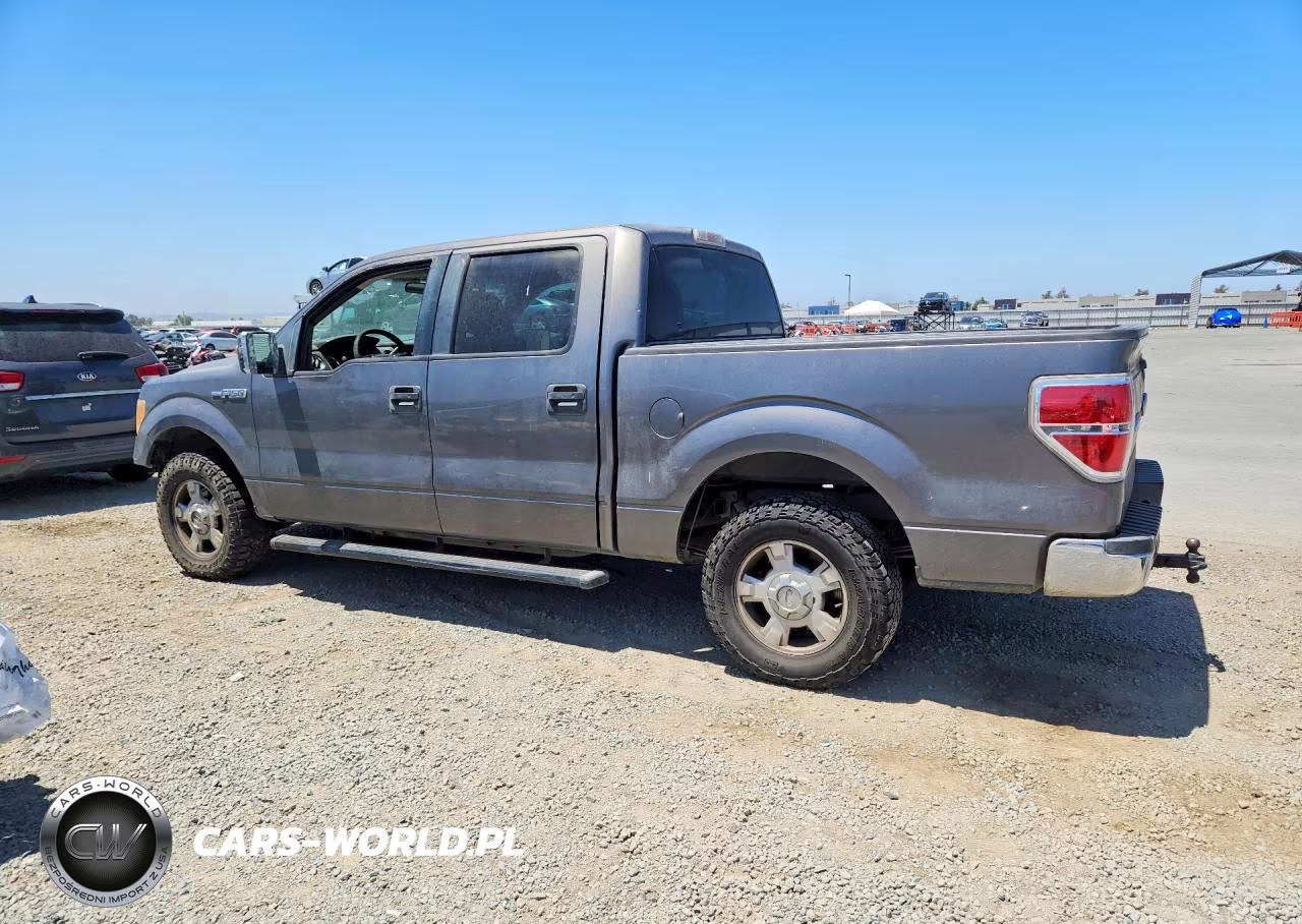 2010 Ford F150 Supercrew VIN:1FTEW1C80AFB13781 - 2