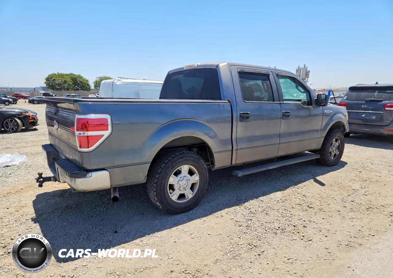 2010 Ford F150 Supercrew VIN:1FTEW1C80AFB13781 - 3