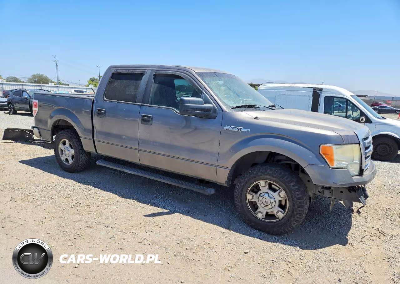 2010 Ford F150 Supercrew VIN:1FTEW1C80AFB13781 - 4