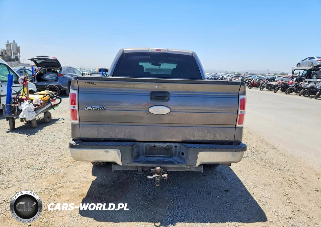 2010 Ford F150 Supercrew VIN:1FTEW1C80AFB13781 - 6