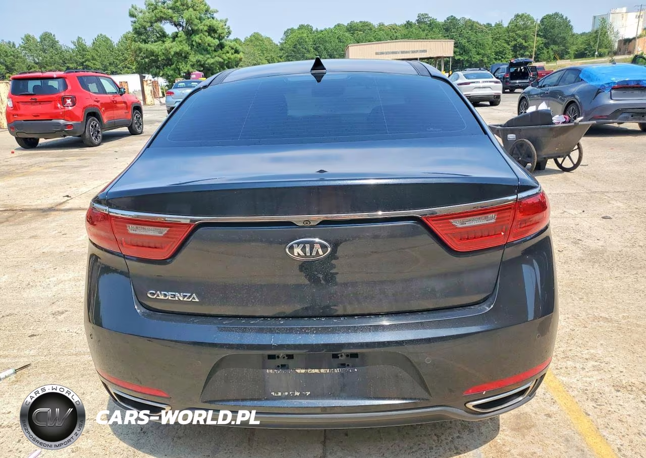 2017 Kia Cadenza Technology VIN:KNALC4J10H5069298 - 6