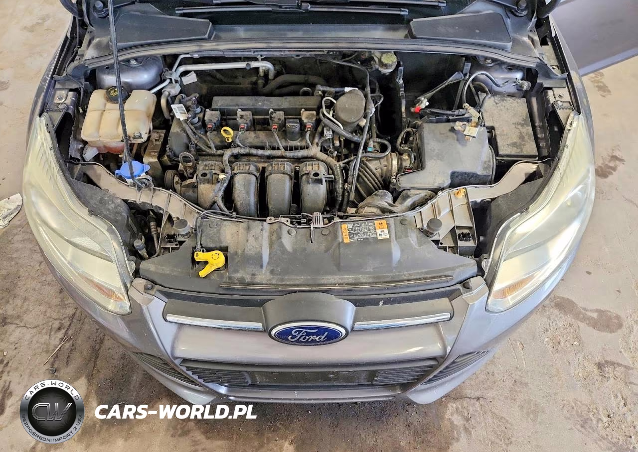 2014 Ford Focus Se VIN:1FADP3F22EL383300 - 11