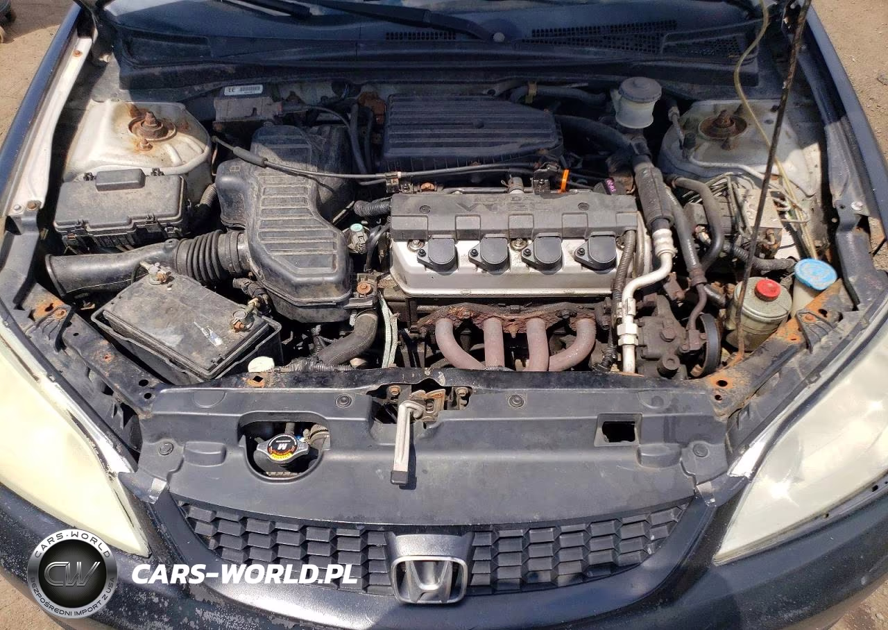 2004 Honda Civic Ex VIN:1HGEM22984L021203 - 11
