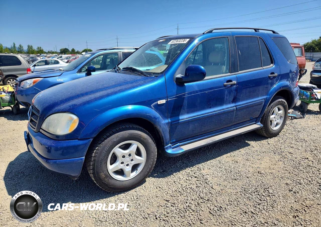2001 Merz Ml-Class